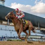 Brown Already Looking Forward to 2026 with Mother Goose Winner Fully Subscribed